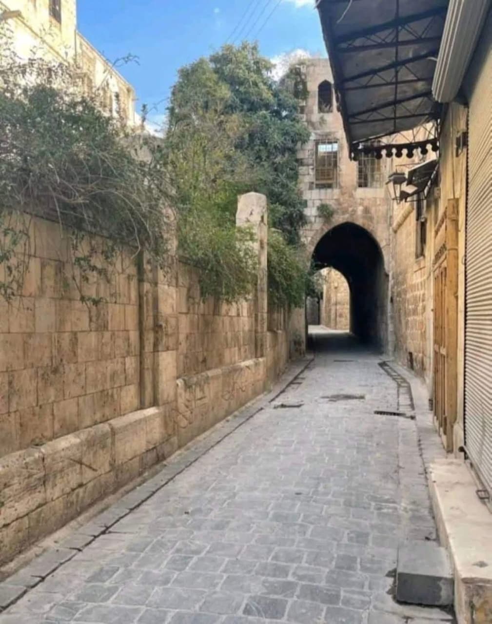 للبيع دار عربي مشروع سياحي استثماري فندق أومطعم أومقر شركة للبيع دار عربي مشروع سياحي استثماري فندق أومطعم أومقر شركة - محافظة حلب - صورة 2 من 6
