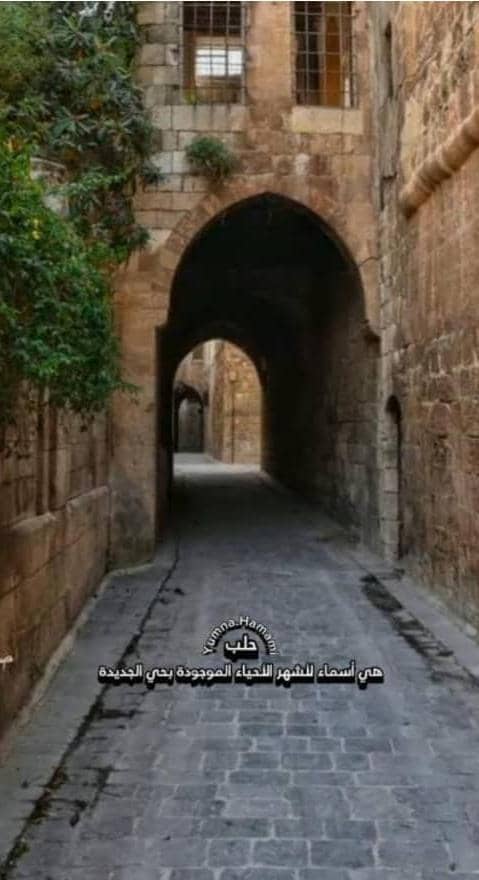 للبيع دار عربي مشروع سياحي استثماري فندق أومطعم أومقر شركة للبيع دار عربي مشروع سياحي استثماري فندق أومطعم أومقر شركة - محافظة حلب - صورة 1 من 6